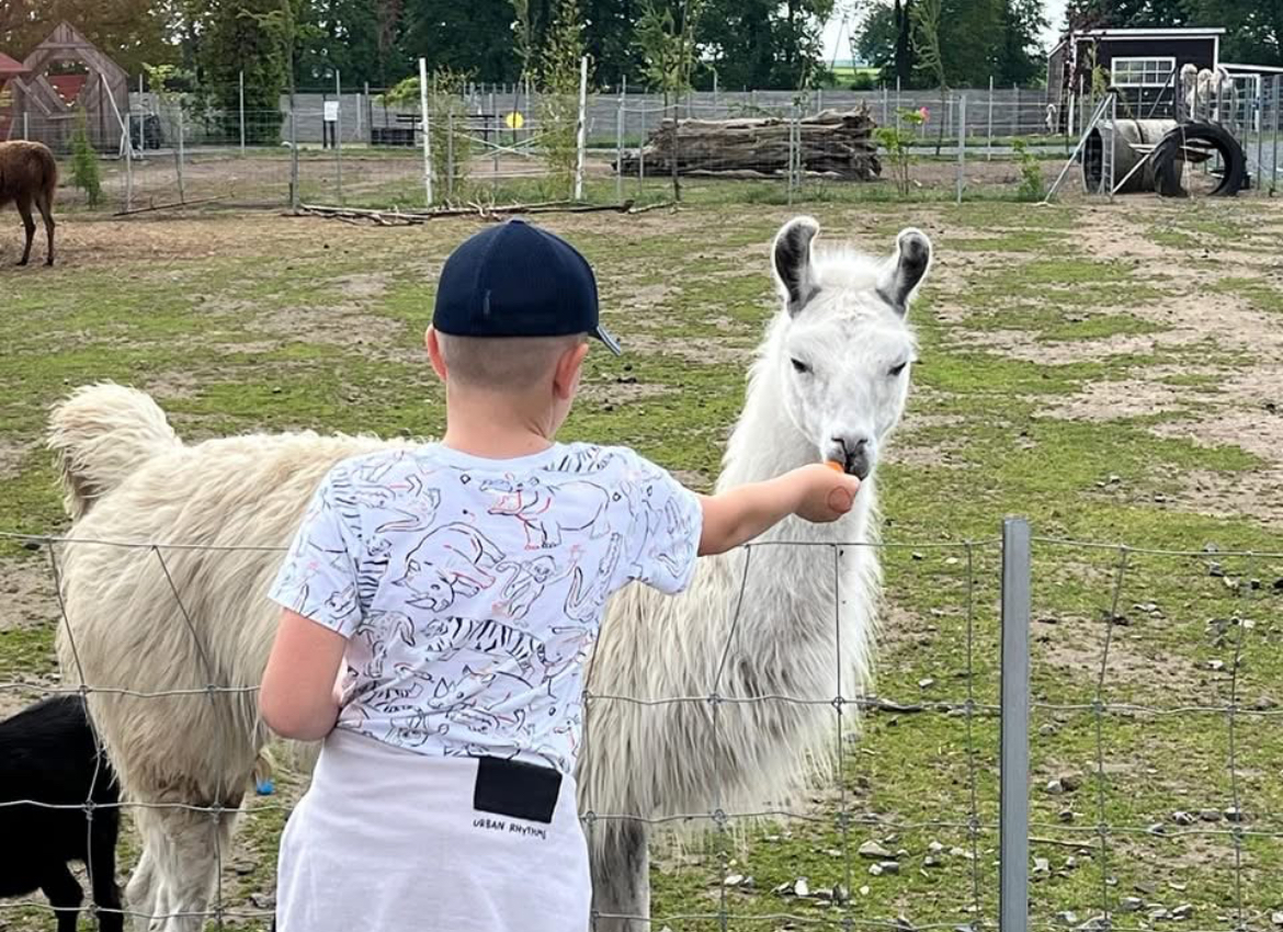 Wycieczka do Mini ZOO